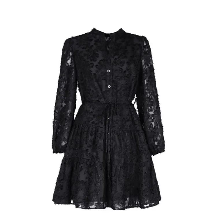 Vestido de Festa Bordado Manga Chemise rodado preto inverno